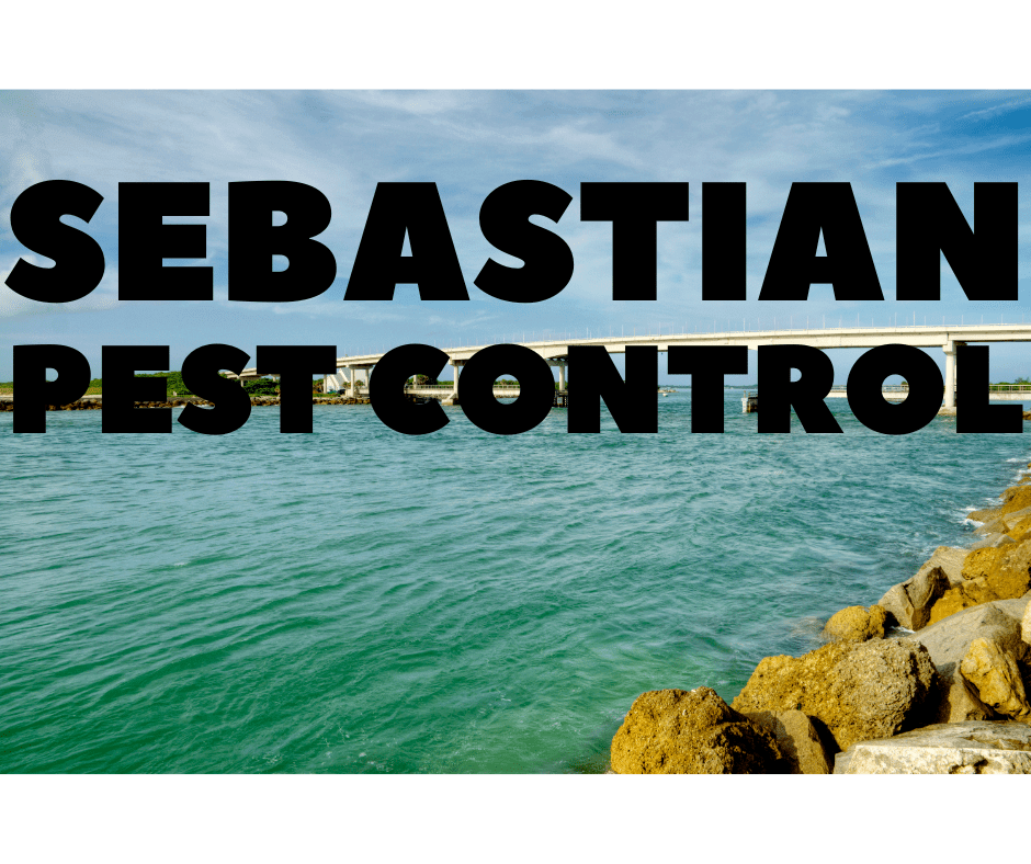 Sebastian Pest Control