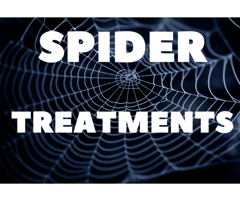 Spider Treatment; Safe & Fast