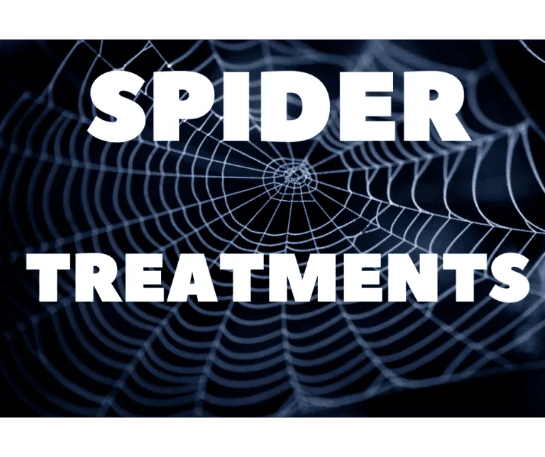 spider treatment
