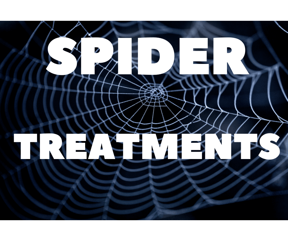 spider treatment