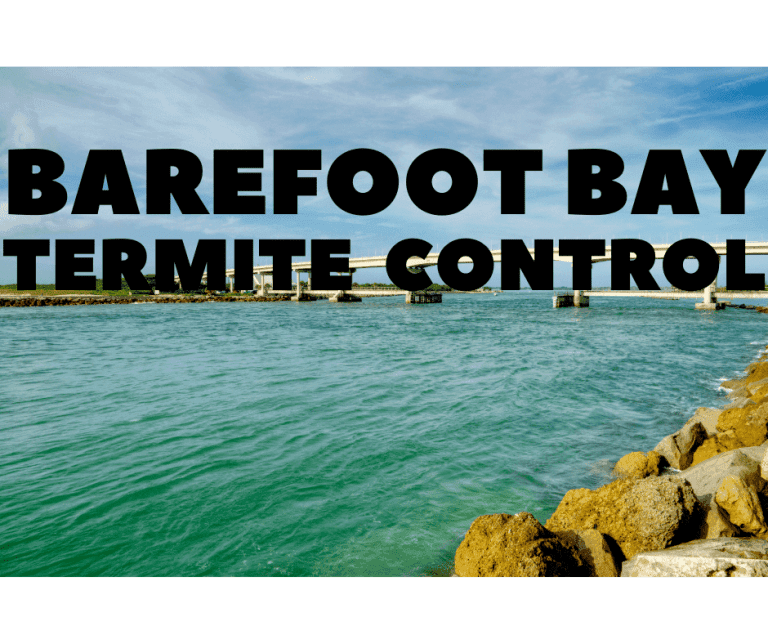 termite control Barefoot Bay