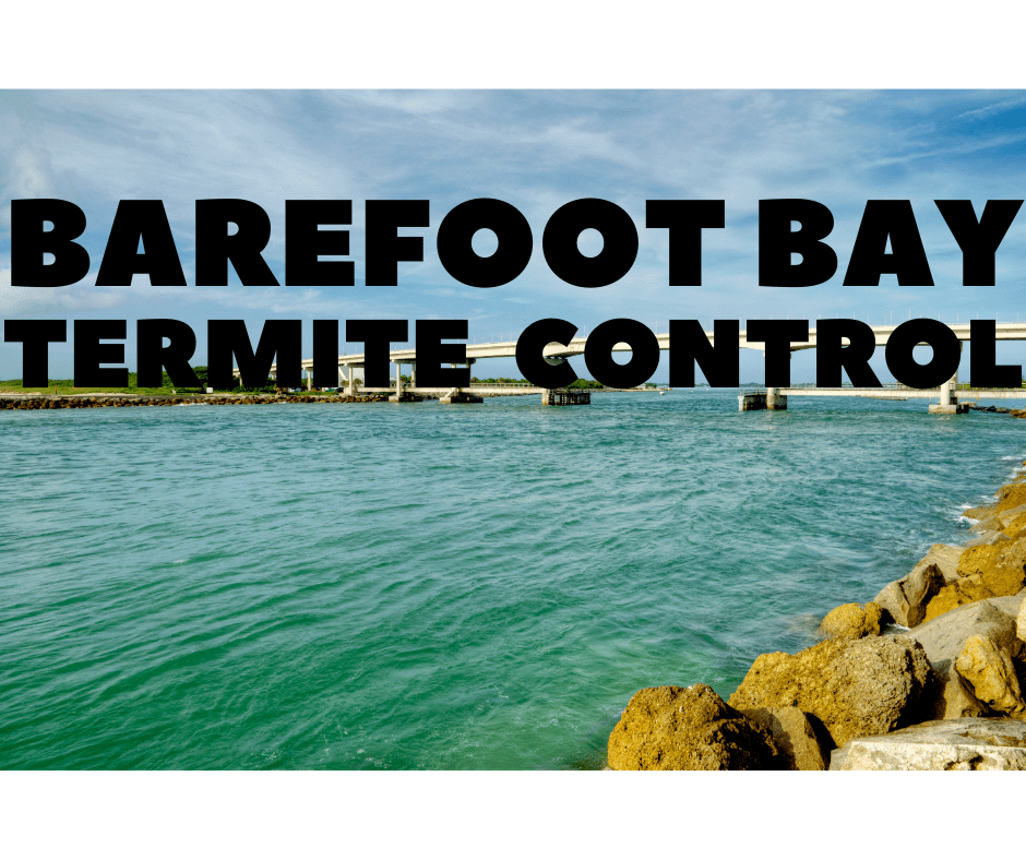 termite control Barefoot Bay