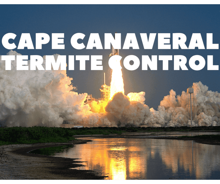 cape canaveral termite control