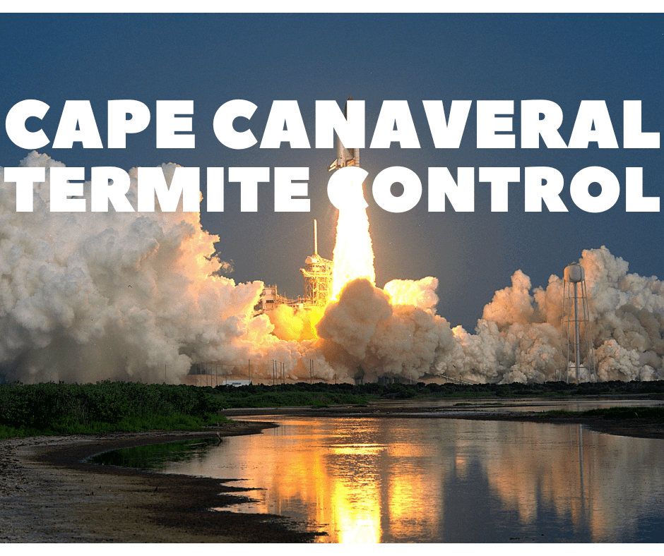 cape canaveral pest control