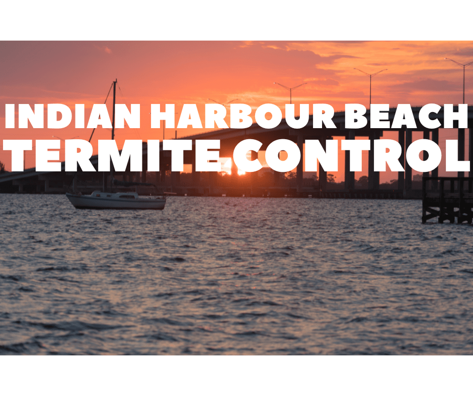 termite control indian harbour beach