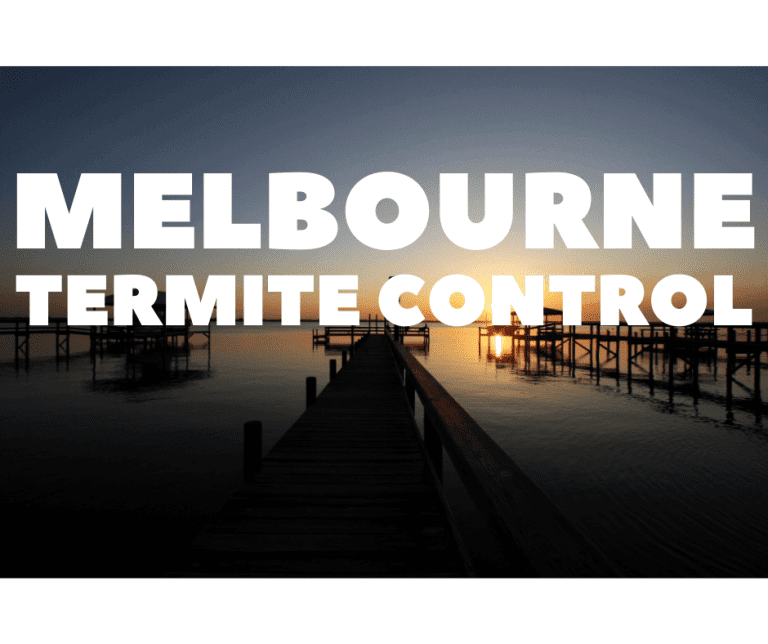 termite control melbourne; A scenic photo of a wooden pier over the water at sunrise or sunset, with the text "Melbourne Termite Control."