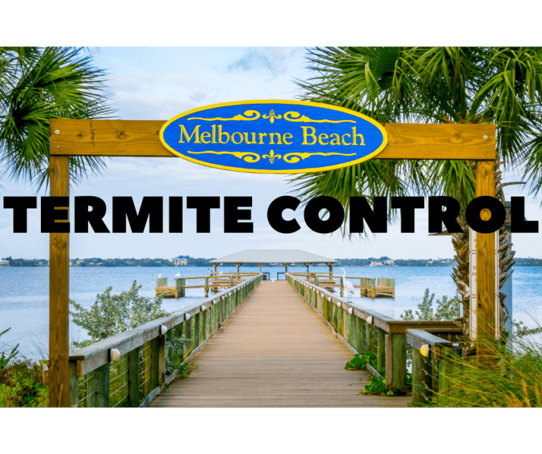 termite control melbourne beach