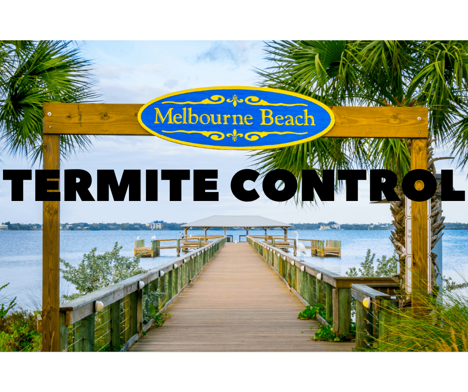 termite control melbourne beach