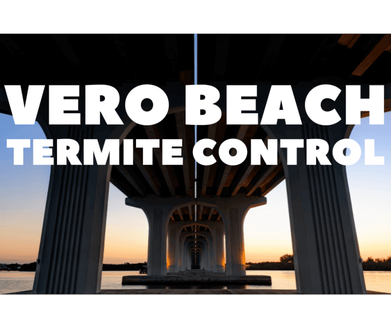 Termite Control Vero Beach