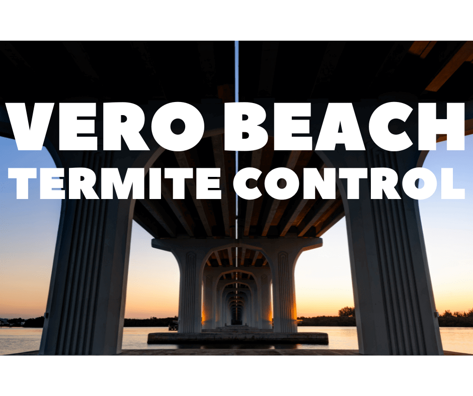 Termite Control Vero Beach