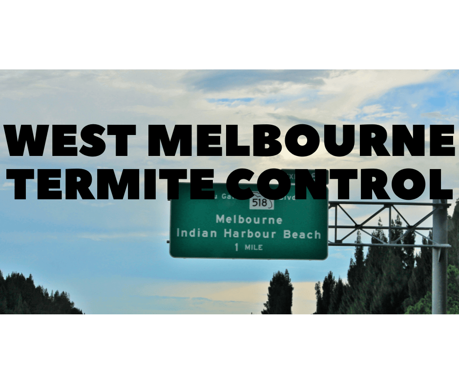 Termite Control West Melbourne