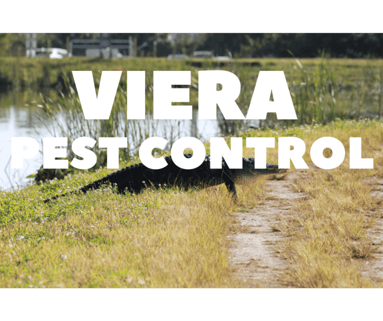 viera pest control