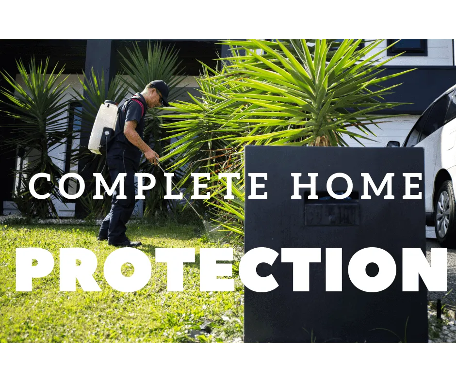 Pest Control, Termite Control, Carpenter Ant Control, Ghost Ant Control, Termite Treatments, Guaranteed Pest Control Services