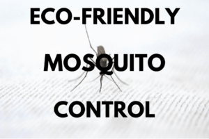 Eco-Friendly Mosquito Control Service