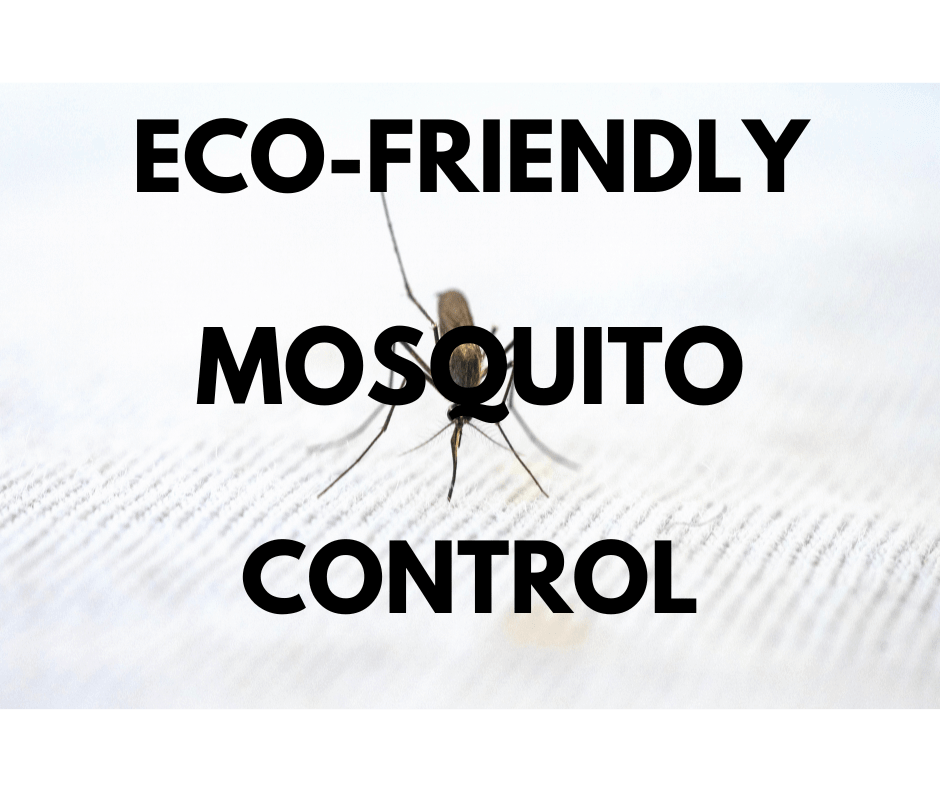 Eco-Friendly Mosquito Control Service
