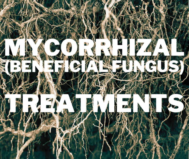 Unleash the Hidden Potential of Your Lawn: Introducing Our Mycorrhizal and Beneficial Bacteria Treatment