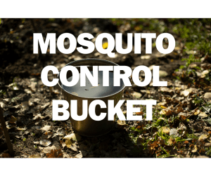 MOSQUITO CONTROL BUCKET