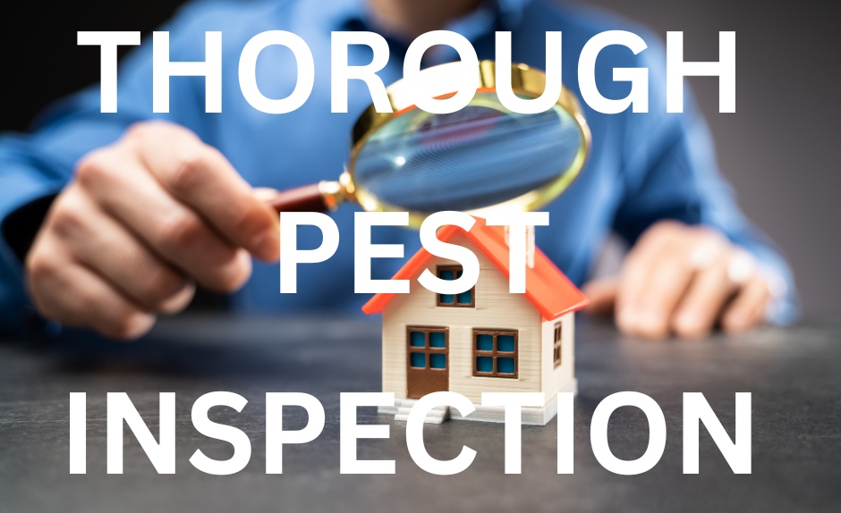 A close-up of a hand holding a magnifying glass over a miniature house, symbolizing a thorough pest inspection.