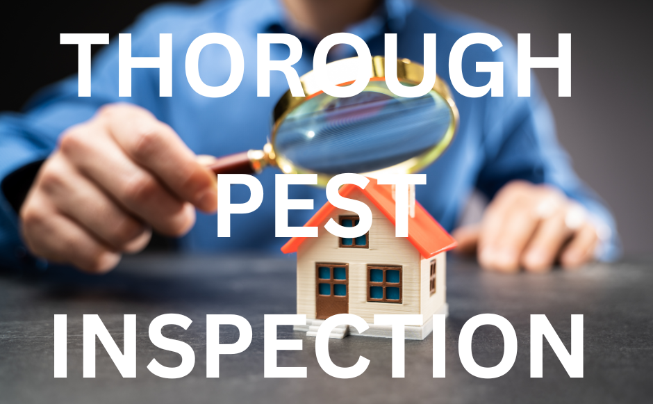 A close-up of a hand holding a magnifying glass over a miniature house, symbolizing a thorough pest inspection. Best pest control exterminator in Indialantic