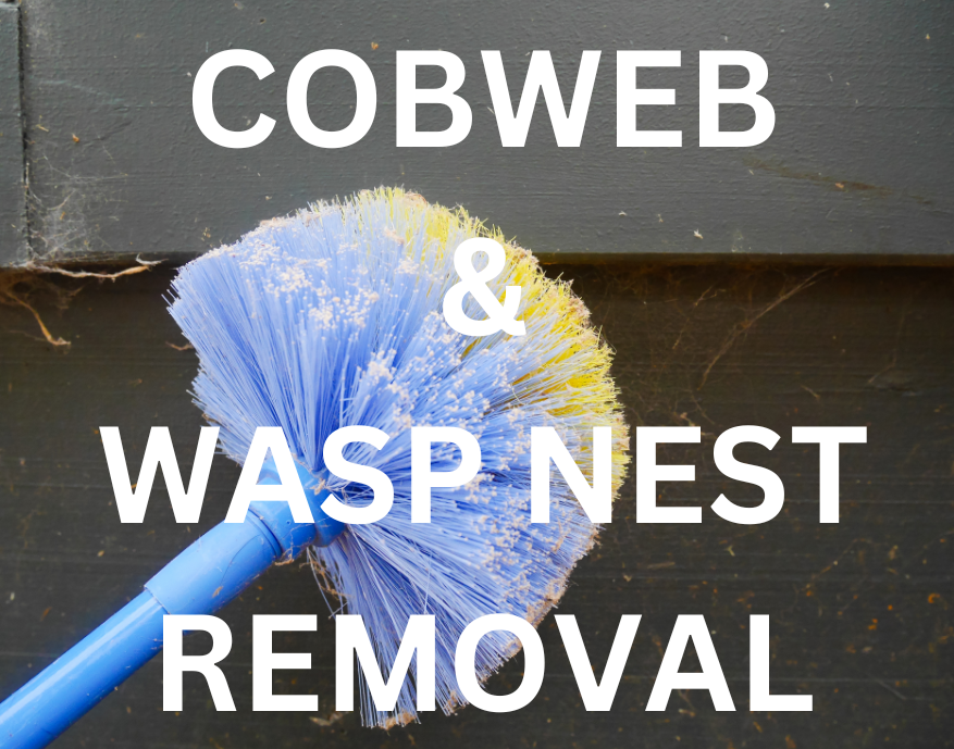 A blue-purple cobweb duster removing cobwebs from a wooden surface, with the text "COBWEB & WASP NEST REMOVAL" displayed. This image represents a comprehensive pest control service that includes regular cobweb removal and wasp nest destruction. Award-winning pest control services. Trusted by Indian Harbour Beach residents.