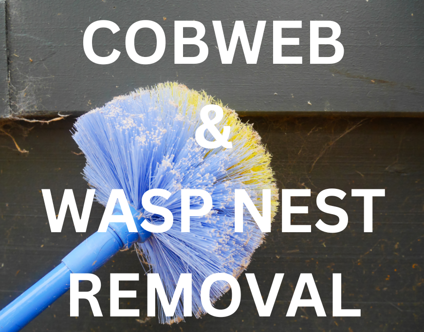 A blue-purple cobweb duster removing cobwebs from a wooden surface, with the text "COBWEB & WASP NEST REMOVAL" displayed. This image represents a comprehensive pest control service that includes regular cobweb removal and wasp nest destruction.