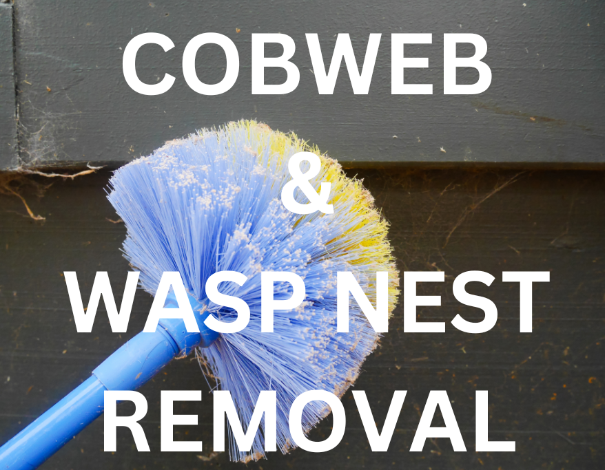 A blue-purple cobweb duster removing cobwebs from a wooden surface, with the text "COBWEB & WASP NEST REMOVAL" displayed. This image represents a comprehensive pest control service that includes regular cobweb removal and wasp nest destruction.