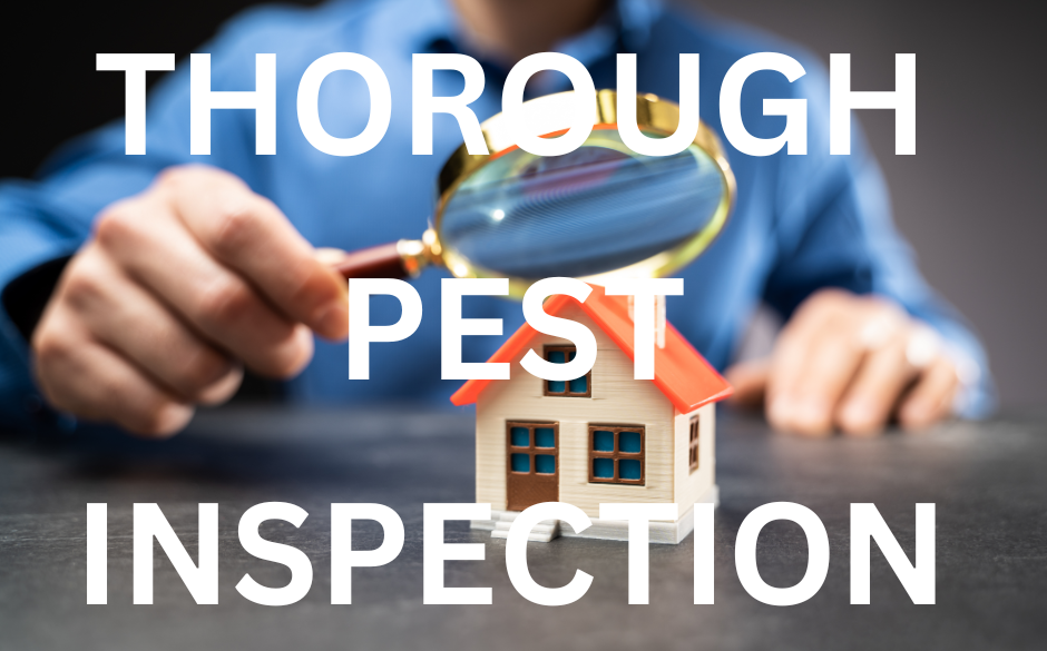 A close-up of a hand holding a magnifying glass over a miniature house, symbolizing a thorough pest inspection.