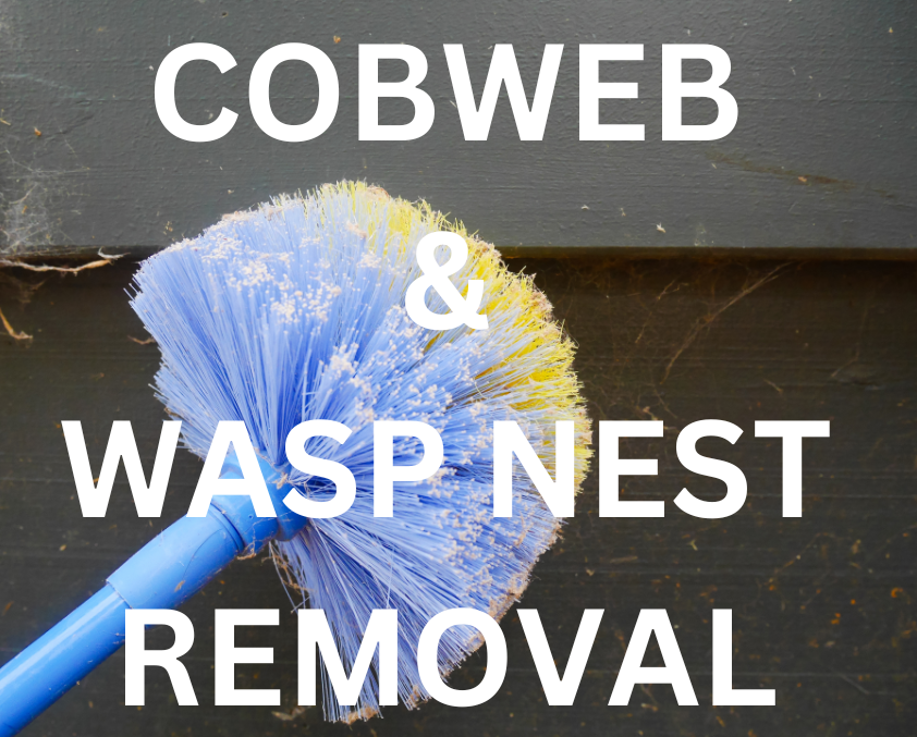 A blue-purple cobweb duster removing cobwebs from a wooden surface, with the text "COBWEB & WASP NEST REMOVAL" displayed. This image represents a comprehensive pest control service that includes regular cobweb removal and wasp nest destruction.