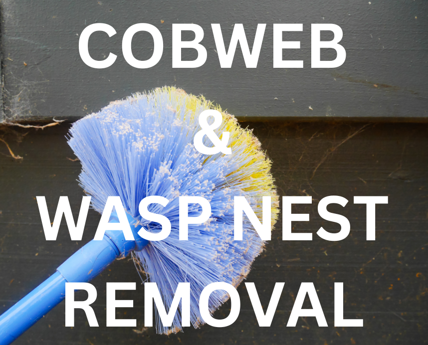 A blue-purple cobweb duster removing cobwebs from a wooden surface, with the text "COBWEB & WASP NEST REMOVAL" displayed. This image represents a comprehensive pest control service that includes regular cobweb removal and wasp nest destruction. Award-winning pest control services. Trusted by Palm Bay residents.