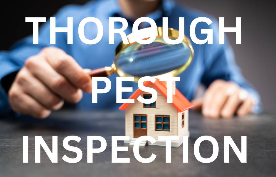 A close-up image of a hand holding a magnifying glass over a miniature house. The hand and the magnifying glass are in focus, while the background is blurred. The text "THOROUGH PEST INSPECTION" is boldly displayed across the image in white. We are the best pest control exterminator in Indian River County. We are the best pest control exterminator in Brevard County.