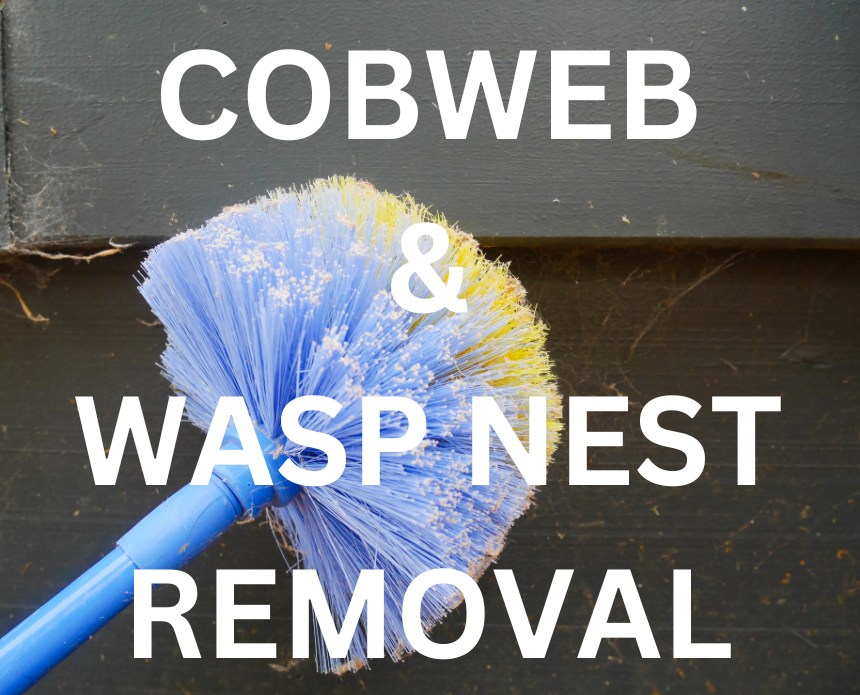 A blue-purple cobweb duster removing cobwebs from a wooden surface, with the text "COBWEB & WASP NEST REMOVAL" displayed. This image represents a comprehensive pest control service that includes regular cobweb removal and wasp nest destruction. Award-winning pest control services. Trusted by Rockledge residents.