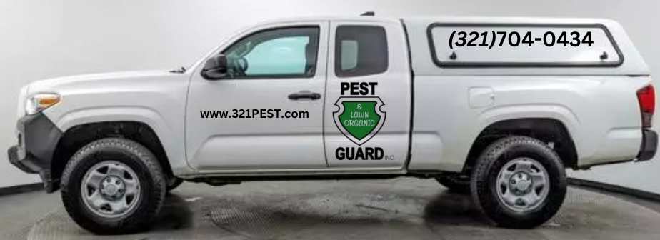 A white pickup truck with a pest control company logo, showcasing the company's professional appearance and commitment to service. Rockledge's top-rated pest control service. Expertly eliminate termites, ants, and roaches. Fast, reliable, and affordable solutions. Call us today for a free inspection!