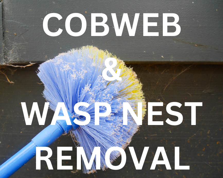 A blue-purple cobweb duster removing cobwebs from a wooden surface, with the text "COBWEB & WASP NEST REMOVAL" displayed. This image represents a comprehensive pest control service that includes regular cobweb removal and wasp nest destruction. Expert pest control technicians with years of experience in Satellite Beach Pest Control.