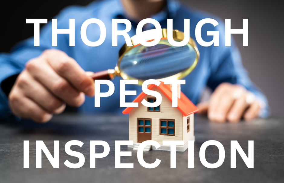 Best pest control exterminator in Satellite Beach. A close-up of a hand holding a magnifying glass over a miniature house, symbolizing a thorough pest inspection.