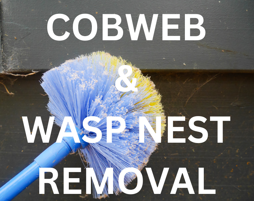 A blue-purple cobweb duster removing cobwebs from a wooden surface, with the text "COBWEB & WASP NEST REMOVAL" displayed. This image represents a comprehensive pest control service that includes regular cobweb removal and wasp nest destruction.