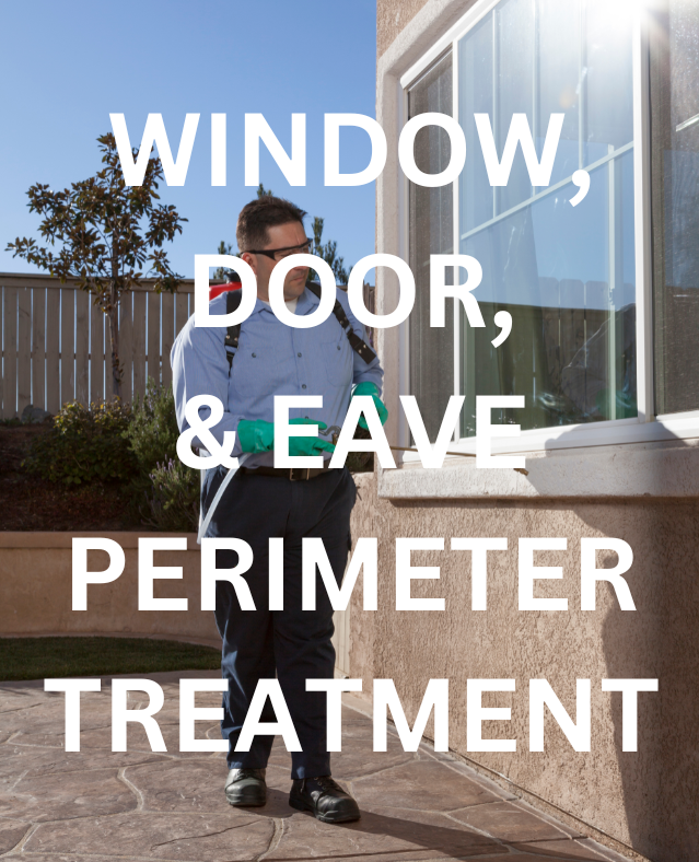 A pest control technician applying a perimeter treatment to a house, using a backpack sprayer. The text "WINDOW, DOOR, & EAVE PERIMETER TREATMENT" is displayed. This image represents a comprehensive pest control service that creates a protective barrier around a home, ensuring a pest-free environment. We are the best exterminator in West Melbourne.