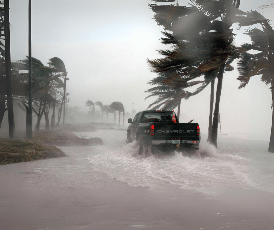 Pest Control Post Hurricane Milton