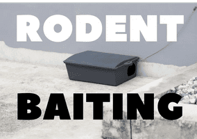 Rodent bait station secured outdoors. Professional rodent baiting service on Florida's barrier island (Cocoa Beach, Indialantic, Melbourne Beach).