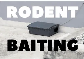 Rodent bait station secured outdoors. Professional rodent baiting service on Florida's barrier island (Cocoa Beach, Indialantic, Melbourne Beach).