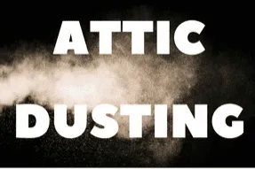 Attic dusting with Delta Dust pesticide for comprehensive pest control. Unique service for carpenter ants, cockroaches, and moisture-prone areas like mobile home undersides.