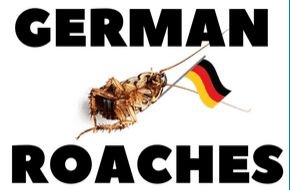 German cockroach infestation in a kitchen crack. Specialized German roach control with IGR in Palm Bay, Melbourne, and surrounding FL areas.