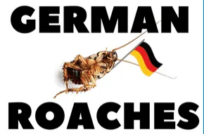 German cockroach infestation in a kitchen crack. Specialized German roach control with IGR in Palm Bay, Melbourne, and surrounding FL areas.