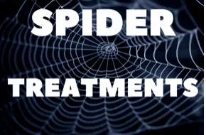 Spider on its web indoors. Professional spider control and web removal services in Palm Bay, Melbourne, and surrounding FL areas.