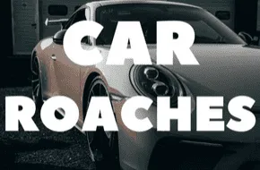 Cockroach inside a car's interior. Specialized roach treatment for vehicles and car infestations.