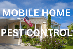 Underside of a mobile home foundation. Specialized pest control for mobile homes, including foundation and interior treatments.