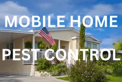 Underside of a mobile home foundation. Specialized pest control for mobile homes, including foundation and interior treatments.