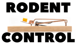 Rodent exclusion mesh blocking a home entry point. Professional rodent control, trapping, and exclusion services for homes and businesses.