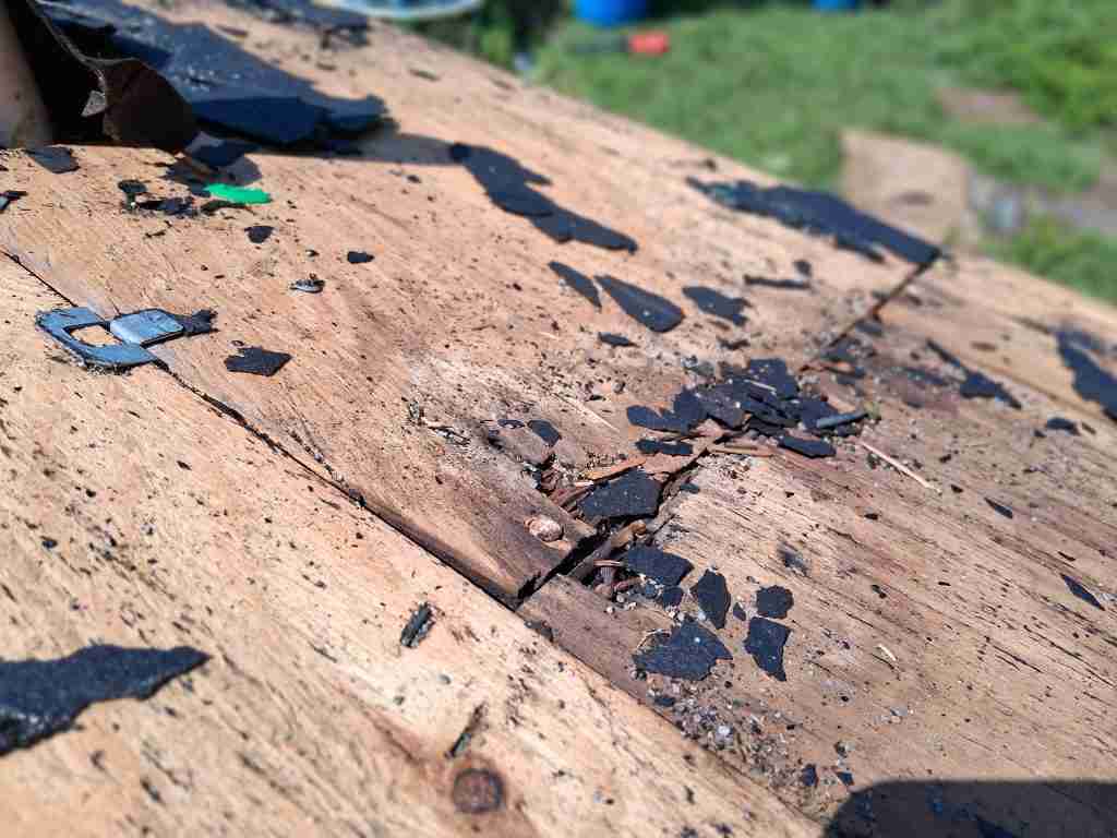 Minor roof wood damage and torn shingles, showing potential moisture entry points for ants and other pests in Florida.