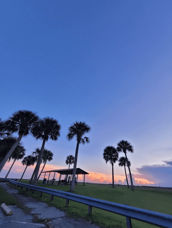 Termite Control Palm Bay, Palm trees silhouetted against a colorful sunset sky in Palm Bay, Florida.