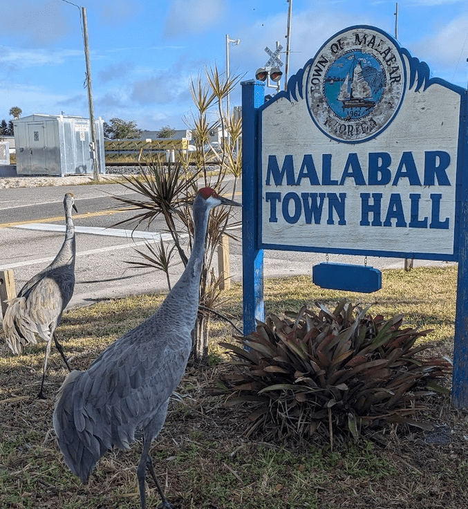Malabar Town Hall sign with sandhill cranes in the foreground, representing the Malabar community., Termite Control Malabar, Florida